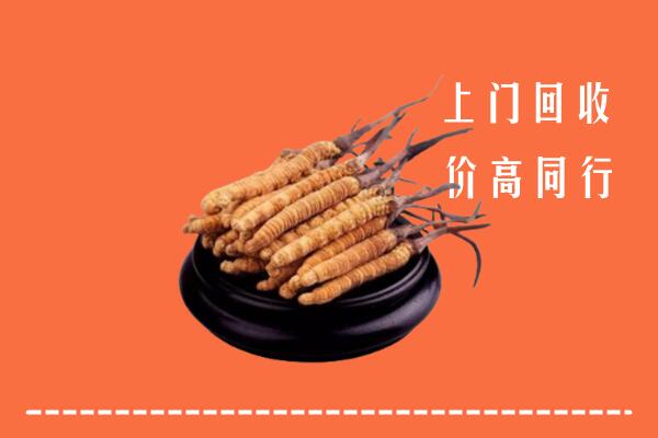 阜城县回收冬虫夏草